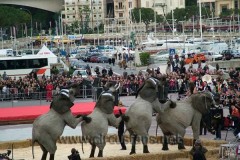 32 Festival di Monte Carlo 19_20-01-08 Open air show Vanoli sp