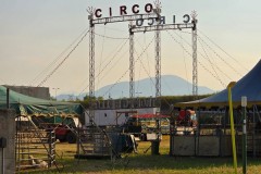 circo-darix-togni-africa-royal-martin-bergamo-2024-4