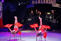 Harlekin10-05-24-24