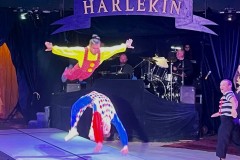 Harlekin10-05-24-38