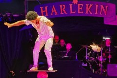 Harlekin10-05-24-53