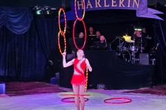 Harlekin10-05-24-82