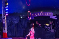 Harlekin10-05-24-84