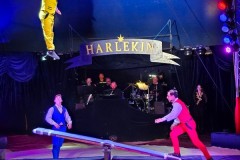 Harlekin10-05-24-91