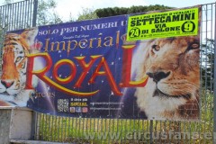 Imperial-28-05-24-30