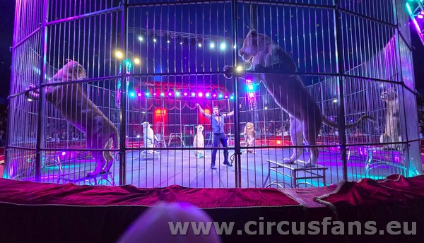 CIRCO M. ORFEI A NOLA: LE FOTO DELLO SPETTACOLO