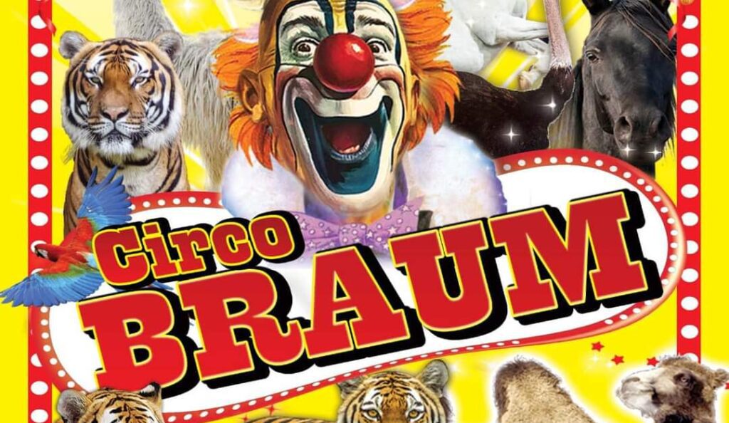 CIRCO BRAUM PER NATALE 2023 A .....