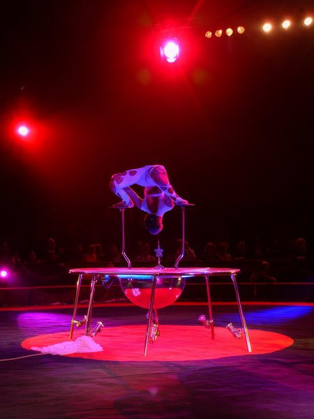 ALMANACCO 6° INTERNATIONAL CIRCUS FESTIVAL OF ITALY - EDIZIONE 2004