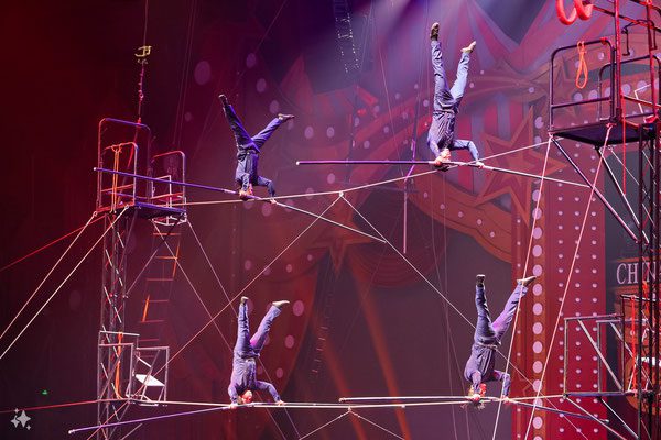 LA FETE LILLOISE DU CIRQUE 2024: Il programma
