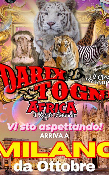 CIRCO DARIX TOGNI AFRICA IL REGNO ANIMALE annuncia .....