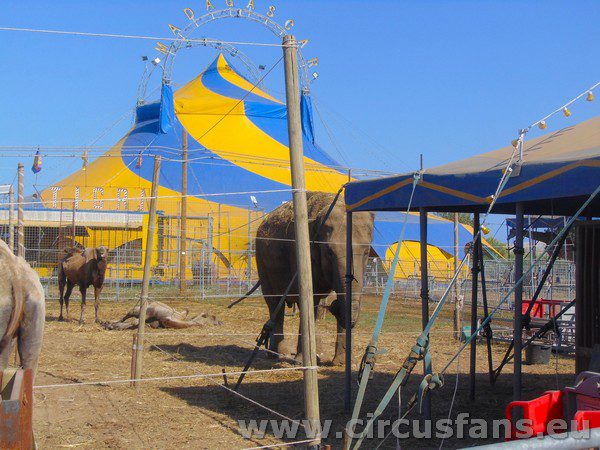 MAYA ORFEI CIRCO MADAGASCAR A SAN FELICE CIRCEO foto