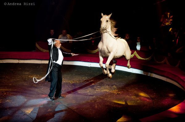 VINICIO CANESTRELLI TOGNI SPECIAL GUEST ALL'INTERNATIONAL CIRCUS FESTIVAL OF ITALY