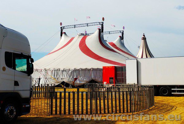 CIRCO DARIX TOGNI IL REGNO ANIMALE: esterni a BERGAMO