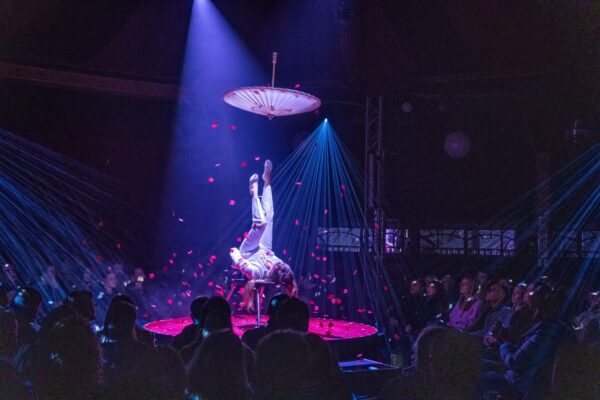 Eccentricità e classicismo: La Clique un classico del circus cabaret