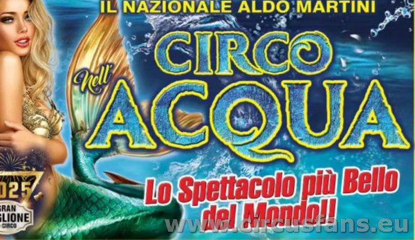 CIRCO NELL'ACQUA DI ALDO MARTINI PER NATALE 2024 A .....