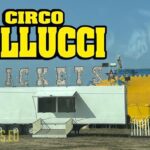 IL NUOVO CIRCO BELLUCCI A TRANI: Le prime foto