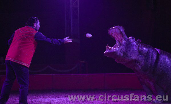 CIRCO ARMANDO ORFEI AD ACERRA FOTO NUOVO SHOW