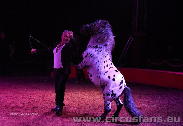 CIRCO ARMANDO ORFEI AD ACERRA FOTO NUOVO SHOW