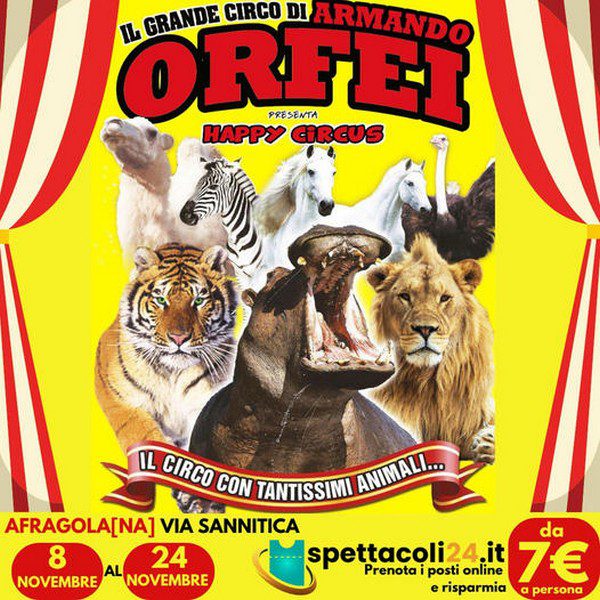 CIRCO ARMANDO ORFEI AD ACERRA FOTO NUOVO SHOW