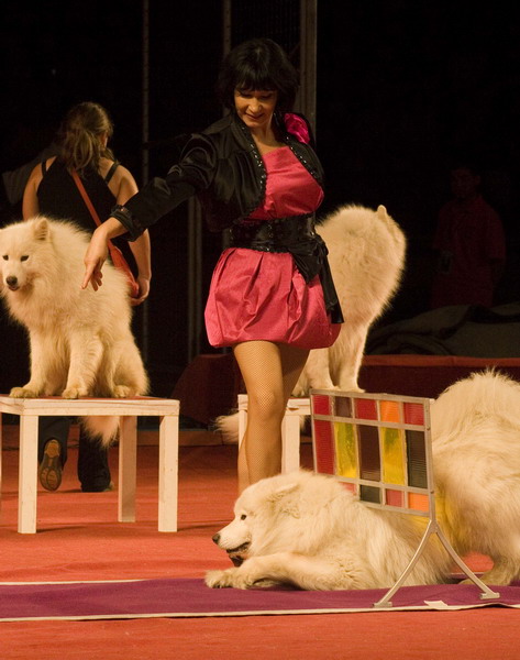 NIKULIN MOSCOW CIRCUS IN TOURNEE IN CINA: foto show